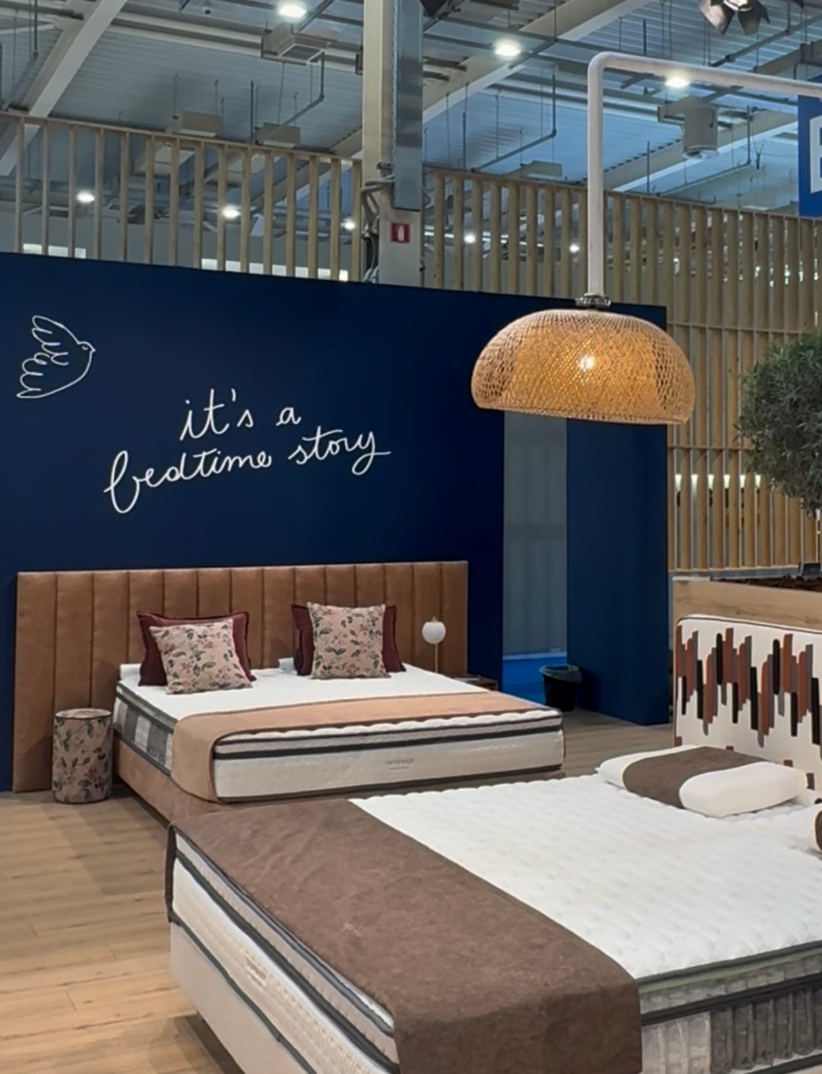 Greco Strom x Xenia &#8217;25